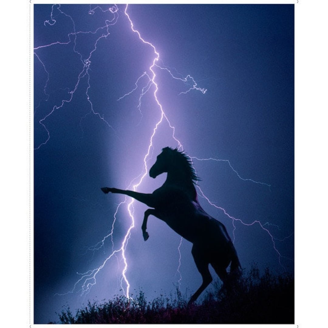 Horse in Lightning Storm Artworks XVII Cotton Quilting Fabric Etsy