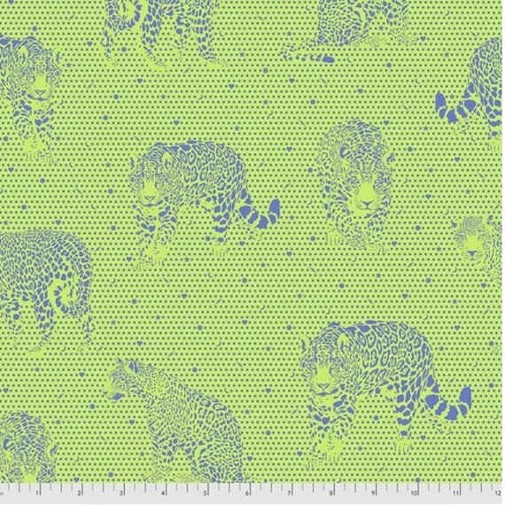 Daydreamer: Lil Jaguars in Kiwi Daydreamer: Lil Jaguars in Kiwi