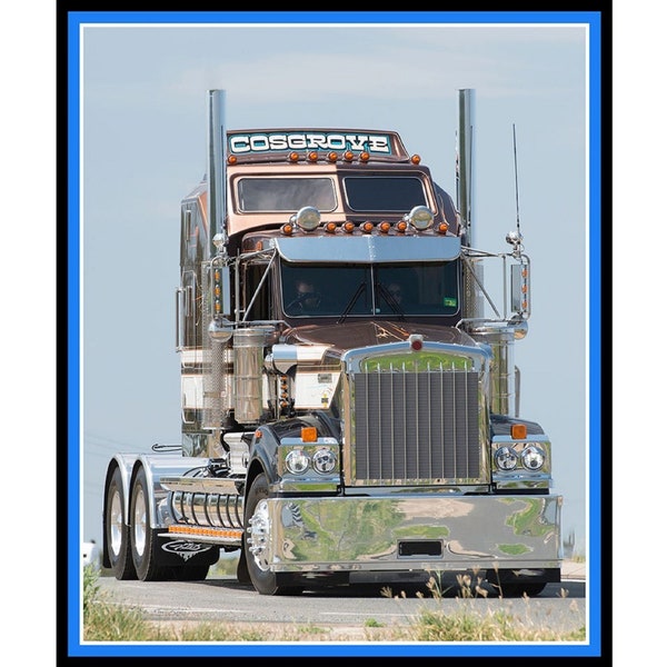 Trucks Big Rigs Cosgrove Rig Cotton Quilting Fabric Panel