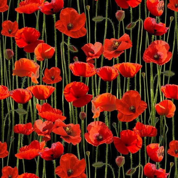 Anzac Day Remembering Day Red Poppies Black Background Cotton Quilting Fabric 1/2 YARD