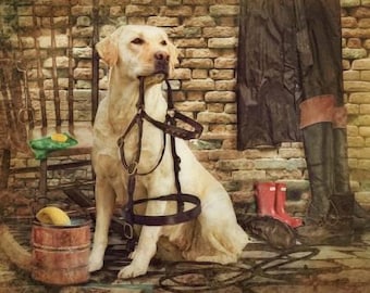 The Tack Room Labrador Dog AL-6265-4C-1 Cotton Quilting Fabric Panel