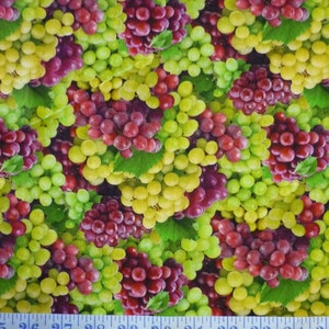 Grapes Red and Green Food Festival Cotton Quilting Fabric 1/2 YARD
