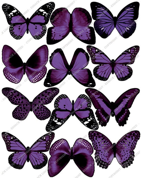 purple butterfly cake decorations