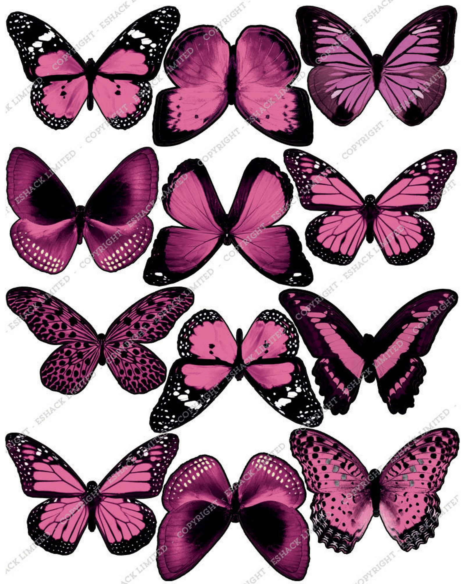 Бабочки розовые распечатать. Розовые бабочки. Бабочки цветные. Бабочка фиолетовая. Бабочки фотопечать.