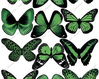 Cakeshop 12 x PRE-CUT Green Butterfly Edible Cake Toppers BT068