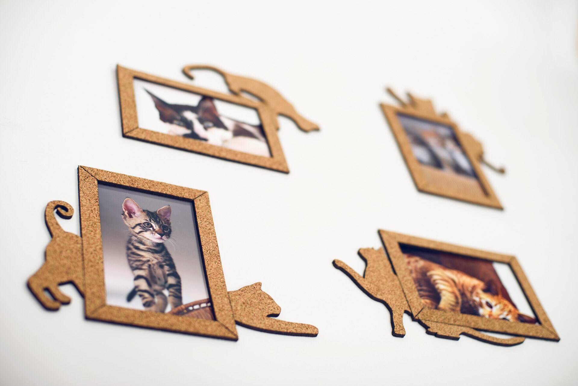 Cat Photo Frame Set 10x15cm Selfadhesive Cat Decor Frames Etsy UK