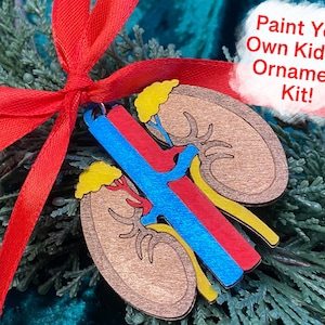 May include: A wooden kidney ornament with red, blue, and yellow accents, tied with a red ribbon. The ornament is set against a backdrop of green foliage. Text on the image reads "Paint Your Own Kidney Ornament Kit!"