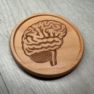 Träunderlägg för hjärnanatomi, laseretsat. Anatomisk, neurologisk, neuron, neurologi, organ