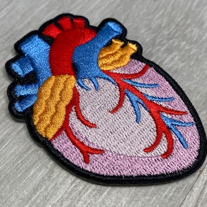 May include: Embroidered patch of a human heart with red, blue, and yellow veins. The heart is pink and outlined in black.