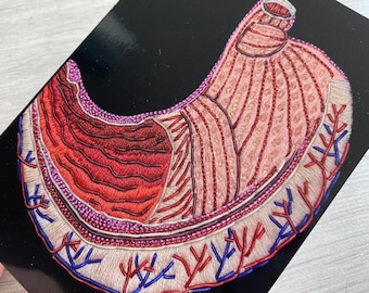 May include: A close-up of a detailed embroidered image of a human stomach. The stomach is depicted in shades of red, pink, and white, with intricate stitching that mimics the internal structure of the organ. The background is black.