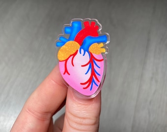 Heart Anatomical Acrylic Pin Badge. Anatomy, Organ, Circulatory, Nurse, Doctor, Medical, Cardiac, Gift, etc.