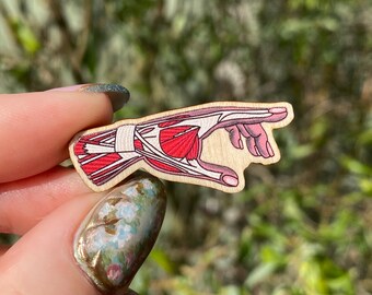 May include: Wooden anatomical hand pin with a detailed illustration of the muscles and tendons. The hand is pointing to the right, with the fingers extended.