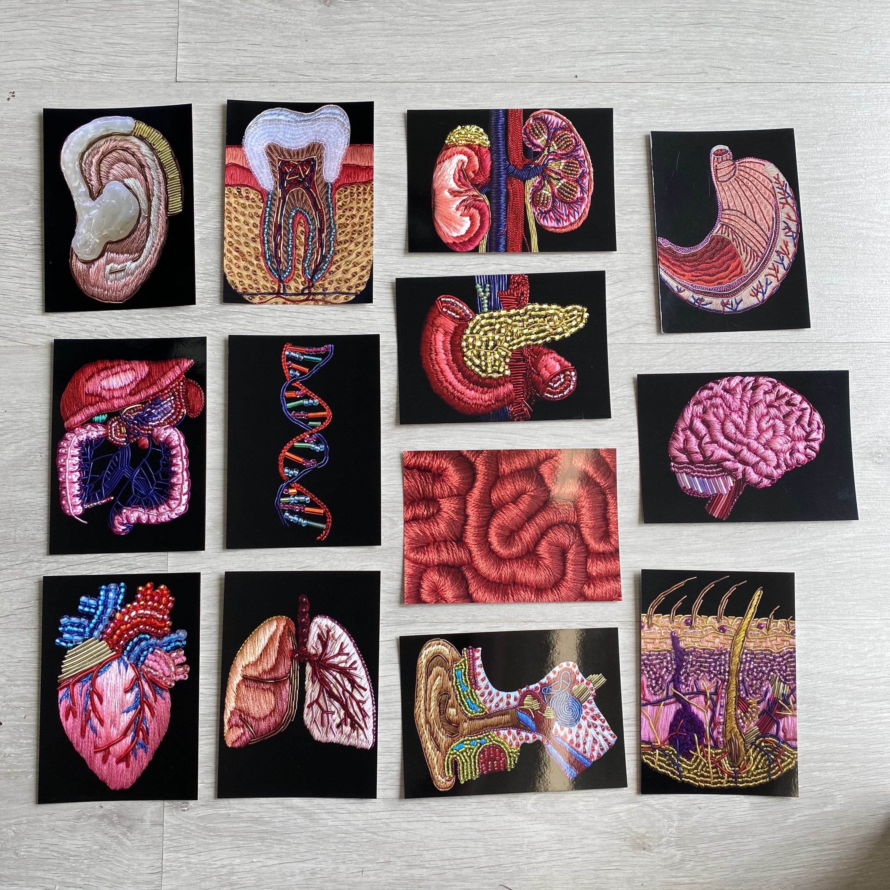Digestive System Anatomy Embroidery A6 Print - Etsy