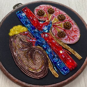 Kidneys Anatomical Beaded 6” Embroidery Hoop