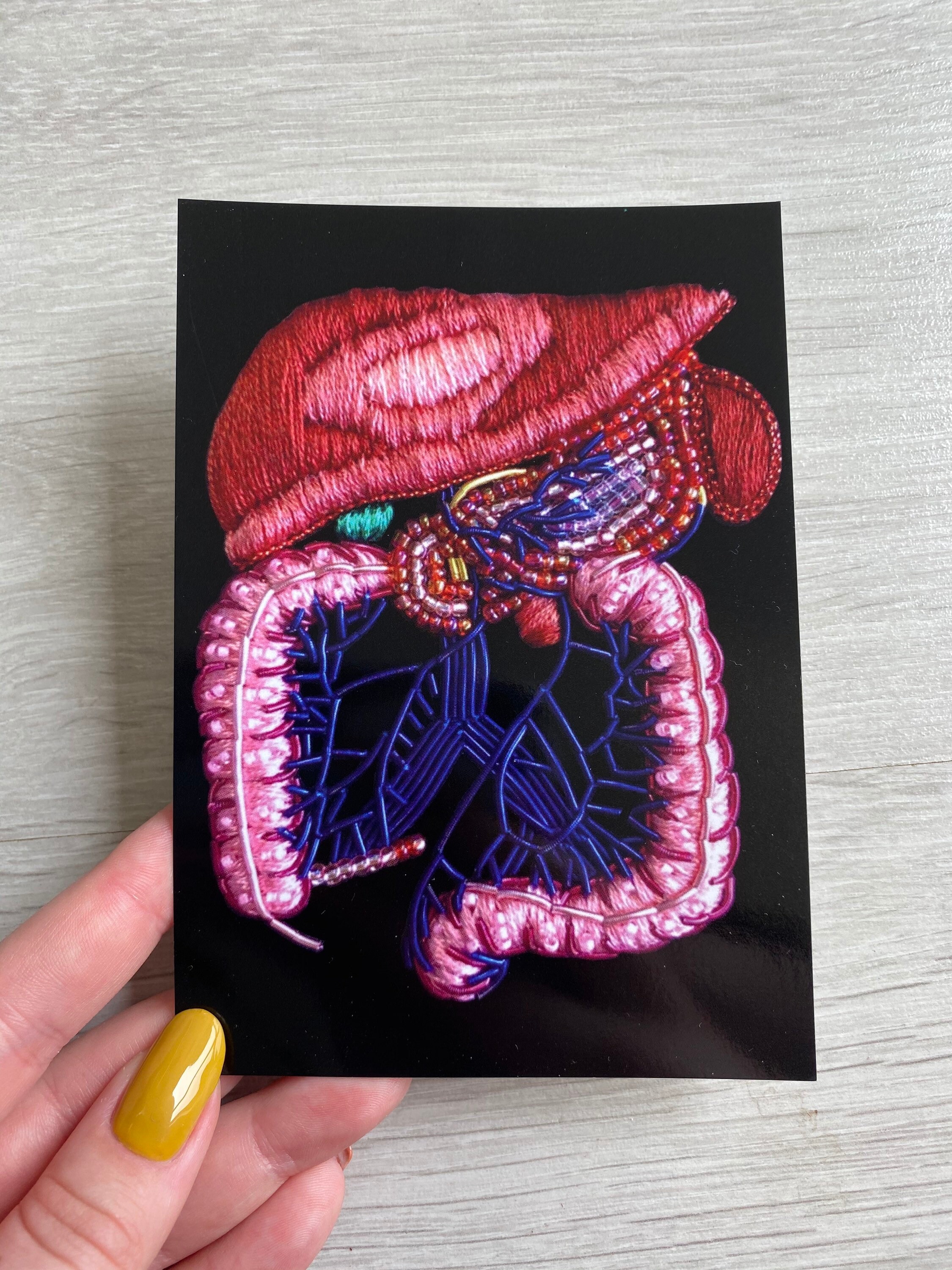 Digestive System Anatomy Embroidery A6 Print - Etsy