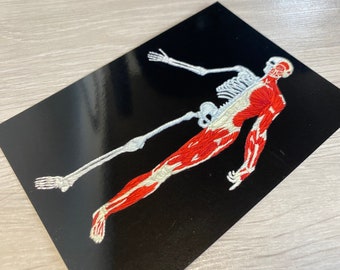 May include: Embroidered artwork depicting a human skeleton with red muscles on a black background.