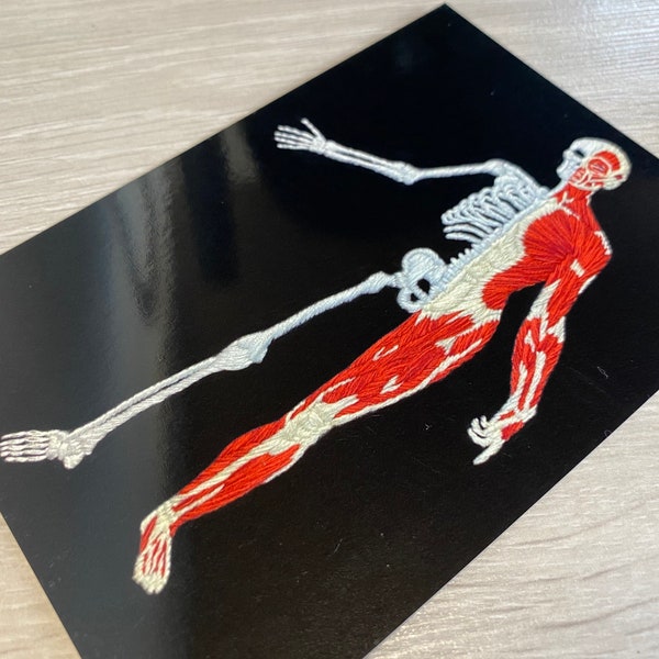 Half Skeleton Half Muscle Anatomical Figure Embroidery A6 Print