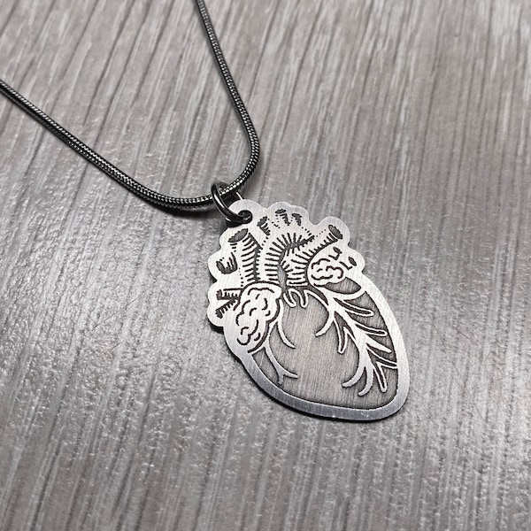 Anatomical Heart Stainless Steel Necklace. Anatomy, Doctor, Nurse, Gift, Medical, Organs, Circulatory, etc.