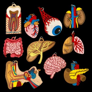 May include: A collection of wooden anatomical models, including a tooth, heart, eye, kidneys, intestines, liver, lungs, brain, ear, and pancreas. Each model is intricately detailed with painted colors and a metal loop for hanging, set against a black background.