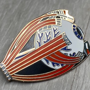 Eye Anatomy 3.5cm x 2.5cm Hard Emaille Pin Badge. Optisch, Optiker, Sehnerv.