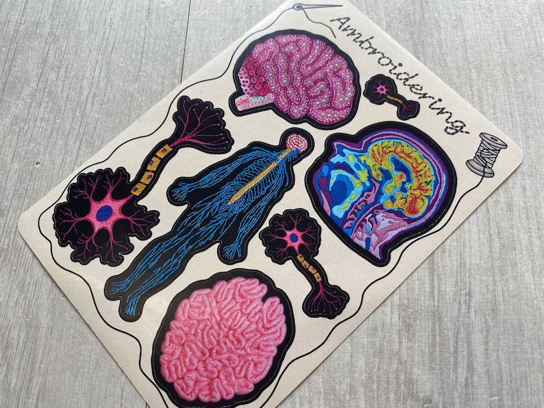 Puede incluir: Un conjunto de parches bordados de colores para planchar que presentan ilustraciones anat&oacute;micas del cerebro, una neurona y el sistema nervioso humano. Los parches est&aacute;n etiquetados como "Embroidering".
