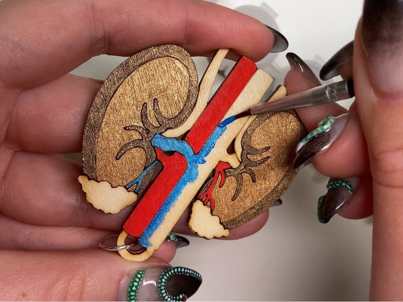 May include: A wooden kidney-shaped pendant with a detailed anatomical design. The pendant features a gold-toned outer layer, with red, blue, and gold internal details. A small silver ring is attached for hanging. The pendant is being painted with a brush.
