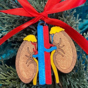 May include: A wooden kidney ornament with a red ribbon for hanging. The ornament features a detailed anatomical design with brown, blue, red, and yellow colors. The kidney-shaped design is a unique decorative item.