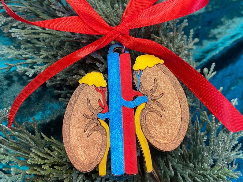 May include: A wooden kidney ornament with a red ribbon for hanging. The ornament features a detailed anatomical design with brown, blue, red, and yellow colors. The kidney-shaped design is a unique decorative item.