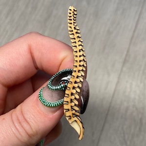 Spine. Anatomical Wooden Pin Badge Brooch. Laser Cut, Birch, Anatomy, Skeleton, Skeletal, Bones