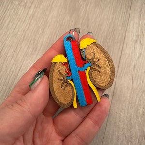 May include: A wooden kidney anatomy keychain featuring a detailed design with brown, yellow, red, and blue accents. The keychain is a medical-themed accessory, perfect for students or healthcare professionals.