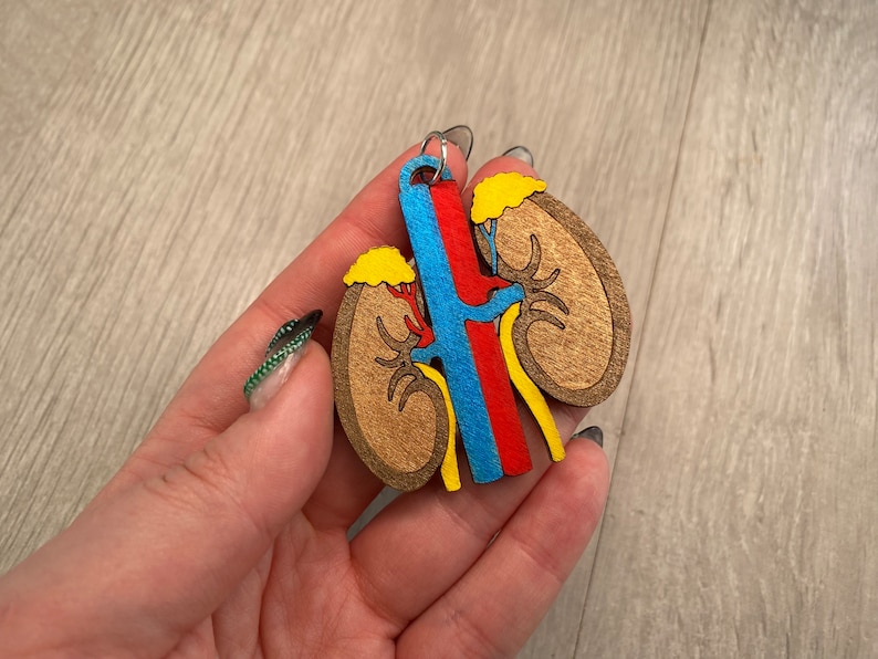 May include: A wooden kidney anatomy keychain featuring a detailed design with brown, yellow, red, and blue accents. The keychain is a medical-themed accessory, perfect for students or healthcare professionals.