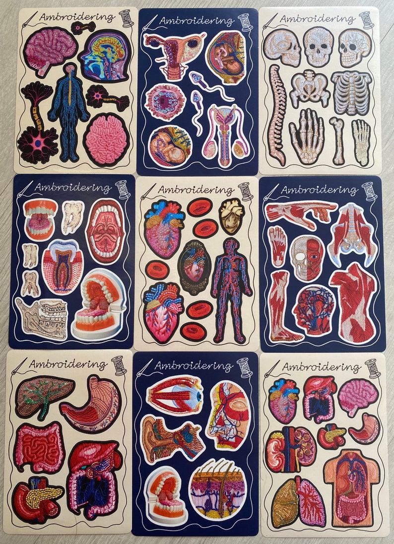 Puede incluir: Nueve parches bordados que representan diferentes &oacute;rganos humanos, incluyendo el cerebro, el coraz&oacute;n, los pulmones, el est&oacute;mago, los intestinos, los ojos, las orejas, los dientes y el esqueleto. Cada parche tiene un fondo azul con la palabra "Embroidering" y un dise&ntilde;o de aguja e hilo.