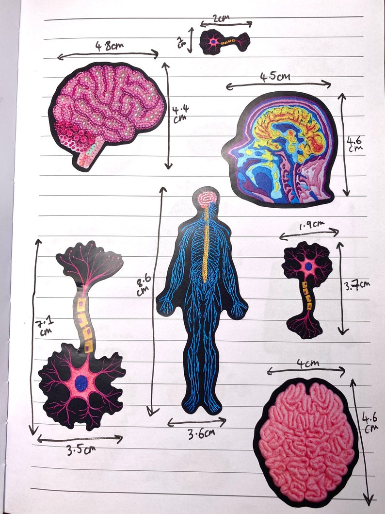 Puede incluir: Un conjunto de seis parches bordados que representan diferentes partes del sistema nervioso humano. Los parches incluyen un cerebro rosa, un cerebro azul con reflejos amarillos, una figura humana azul con una m&eacute;dula espinal amarilla, una neurona negra y rosa, una neurona amarilla y negra y un cerebro rosa. Los parches tienen un di&aacute;metro de aproximadamente 4,5 cm.