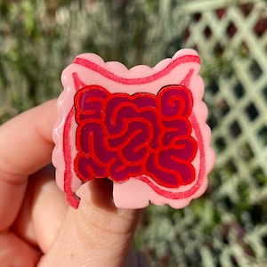Intestines Laser Cut Anatomical Pin Badge. Anatomy, Acrylic, Organ, GI Tract, Digestive, Nurse, Doctor, Medical, Gift, etc.