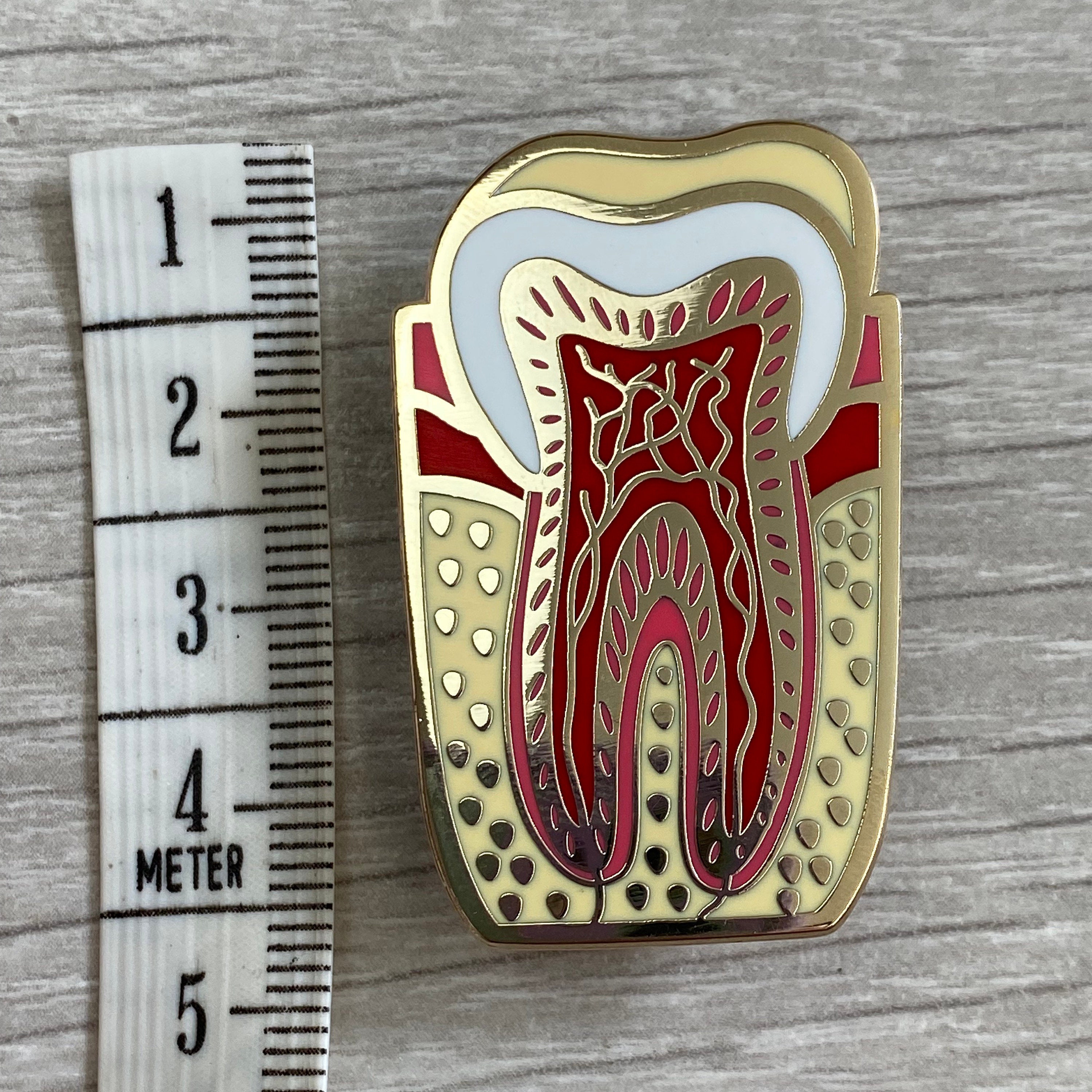 Big Tooth Pin Tooth Anatomy 2.5 X 4cm Hard Enamel Pin Badge - Etsy
