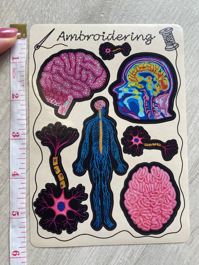 Puede incluir: Parches bordados para planchar con diferentes ilustraciones anat&oacute;micas del cerebro y el sistema nervioso. Los parches est&aacute;n sobre un fondo beige con la palabra "Embroidering" escrita en cursiva negra.