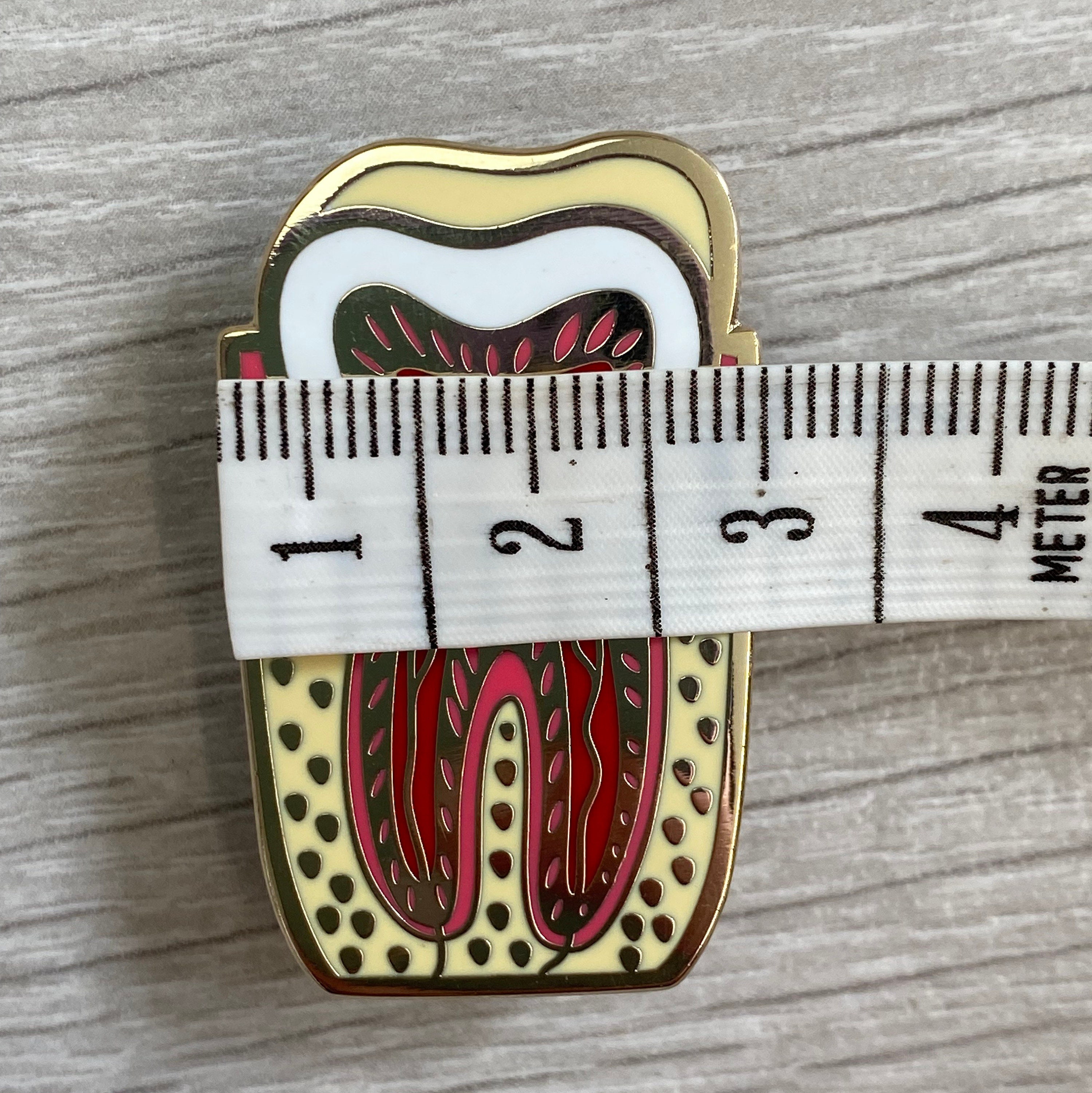 Tooth Anatomy 2.5 X 4cm Hard Enamel Pin Badge - Etsy