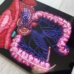 Digestive System Anatomy Embroidery A6 Print