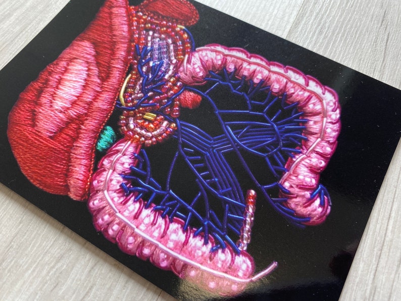 Digestive System Anatomy Embroidery A6 Print - Etsy