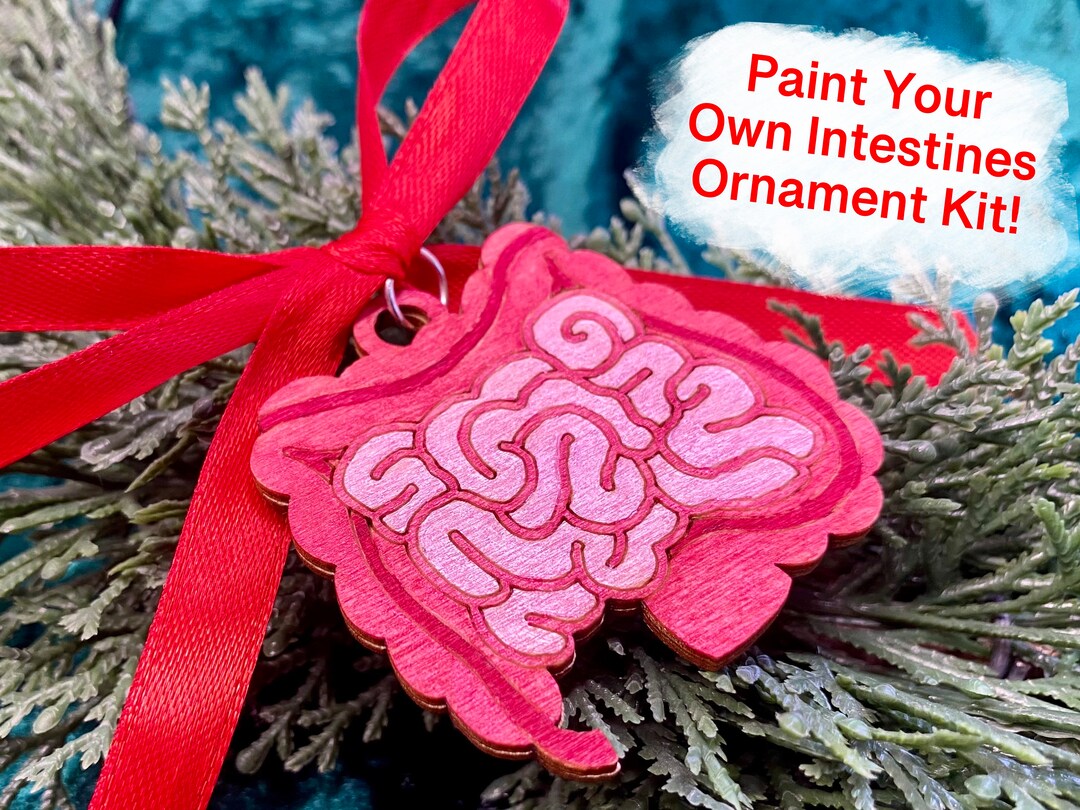 Intestines Anatomy DIY Paint Your Own Wooden Christmas Etsy