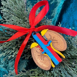 May include: A wooden kidney ornament with a red ribbon bow. The ornament features a detailed anatomical design with brown, yellow, blue, and red elements. It is displayed on a bed of green foliage against a teal background.