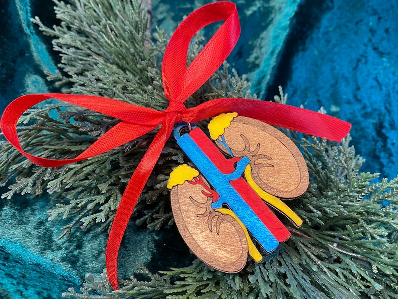 May include: A wooden kidney ornament with a red ribbon bow. The ornament features a detailed anatomical design with brown, yellow, blue, and red elements. It is displayed on a bed of green foliage against a teal background.