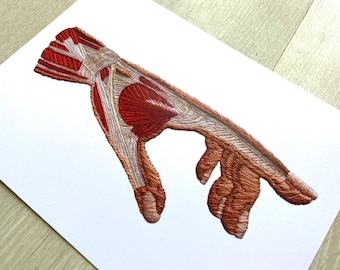 May include: Embroidered anatomical illustration of a human hand, showing the muscles and tendons in detail. The hand is depicted in a relaxed, open position, with the fingers slightly curled. The embroidery is done in shades of red, brown, and white, creating a realistic and detailed representation of the hand's anatomy.