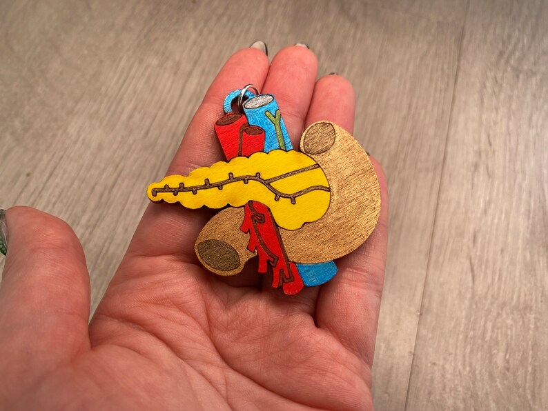 Pancreas Anatomy DIY Paint Your Own, Wooden Christmas Decoration ...