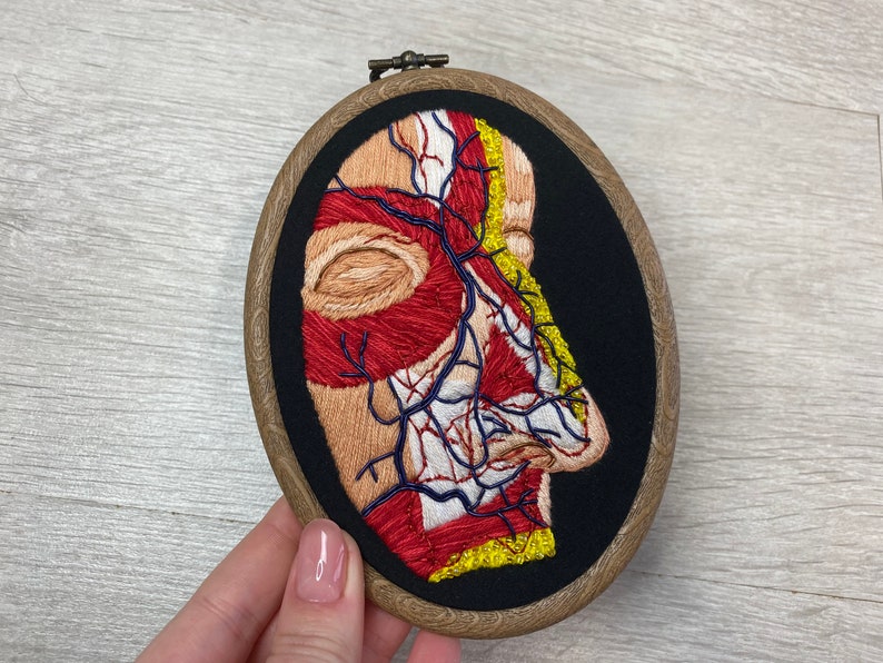 FaceNose Anatomical 4\u201d x 5.5\u201d Oval Embroidery Hoop