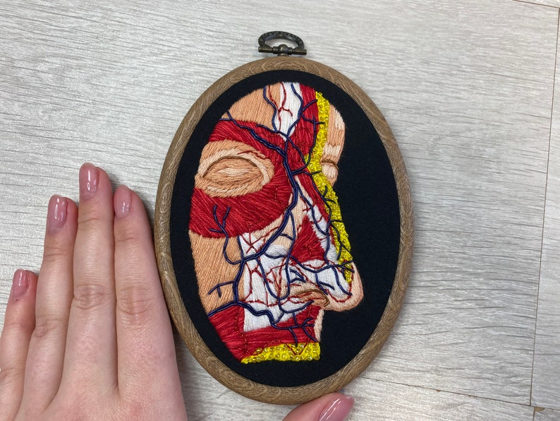 FaceNose Anatomical 4\u201d x 5.5\u201d Oval Embroidery Hoop
