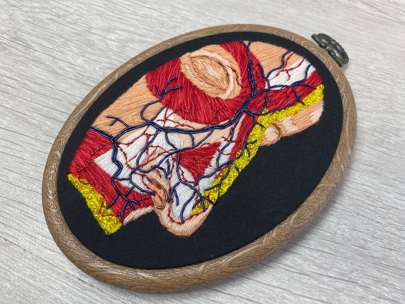 FaceNose Anatomical 4\u201d x 5.5\u201d Oval Embroidery Hoop
