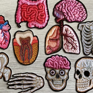 Anatomical Embroidery Vinyl 10 Sticker Pack. Waterproof Heart, Lungs, Skull, Bones, Tooth, etc Stickers