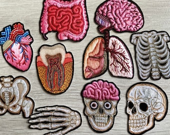 Anatomical Embroidery Vinyl 10 Sticker Pack. Waterproof Heart, Lungs, Skull, Bones, Tooth, etc Stickers