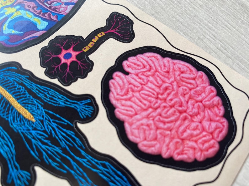 Puede incluir: Un conjunto de parches bordados para planchar que representan ilustraciones anat&oacute;micas del cuerpo humano. Los parches incluyen un cerebro, una neurona y una figura humana con un sistema nervioso visible.